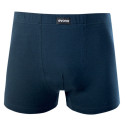 Pánské boxerky s modalem modré - 2 kusy