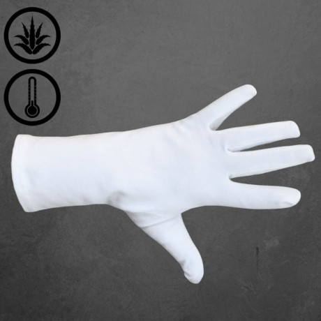 Pánské rukavice s Aloe Vera úpravou | Panskeponozky.cz