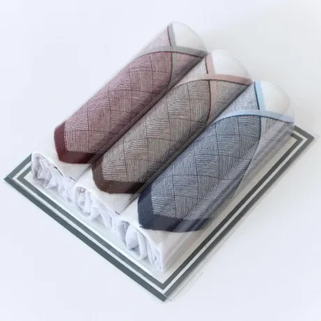 Pánské bavlněné kapesníky VLNKY - 3 kusy | Panskeponozky.eu