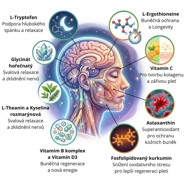 Ergocell