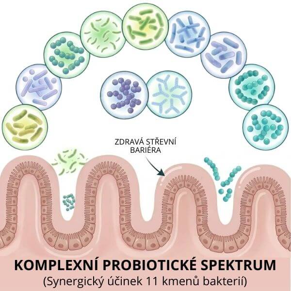 Doplněk stravy Antiaging Probiotics 60 tobolek