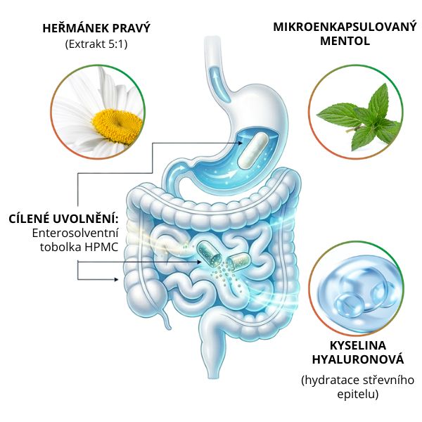 Kyselina hyaluronová